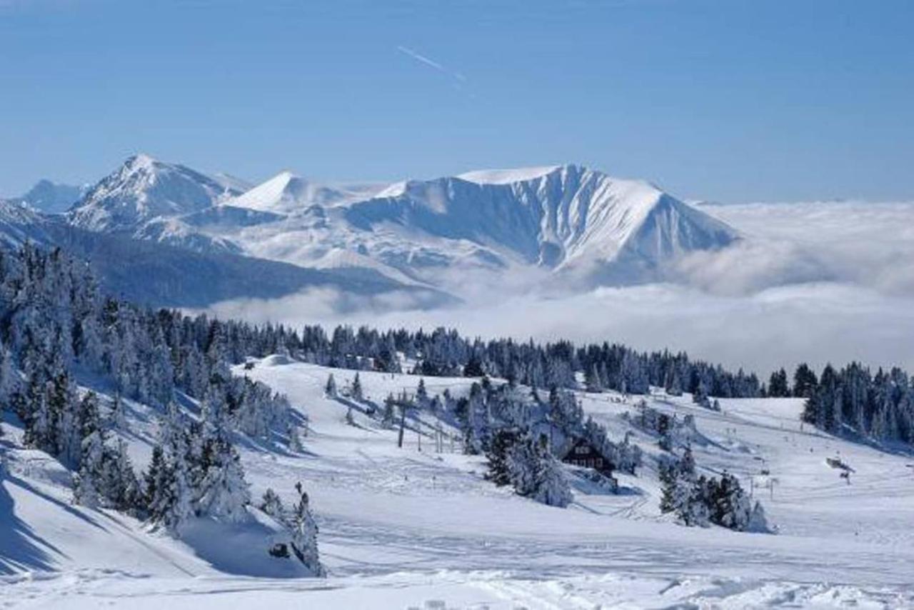 Charmant Studio Cabine Cocoon A 100 M Des Pistes Chamrousse Dış mekan fotoğraf