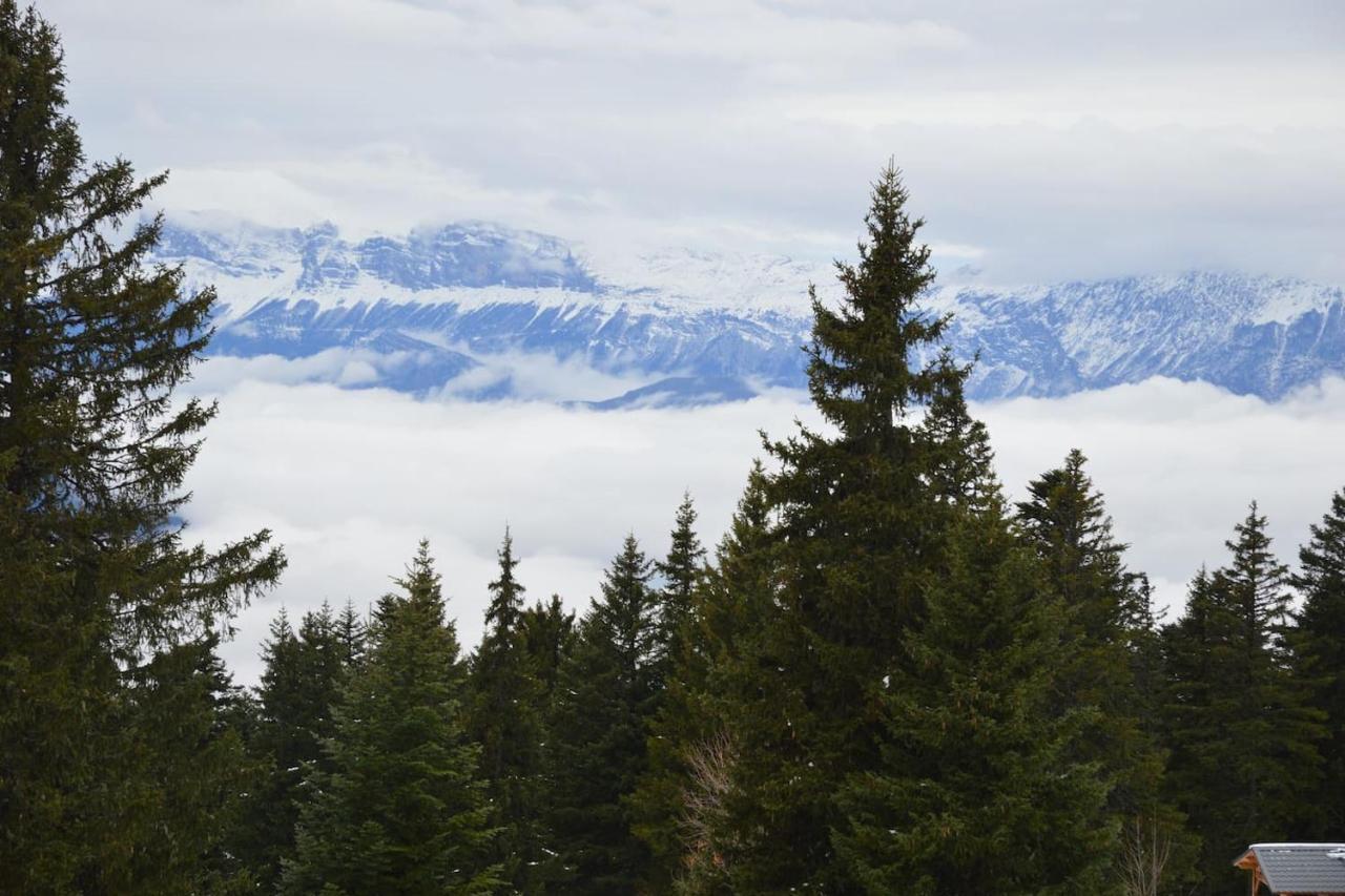 Charmant Studio Cabine Cocoon A 100 M Des Pistes Chamrousse Dış mekan fotoğraf